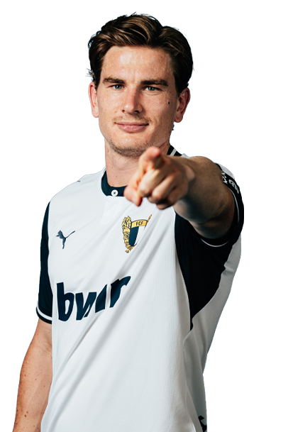 Tom van de Looi